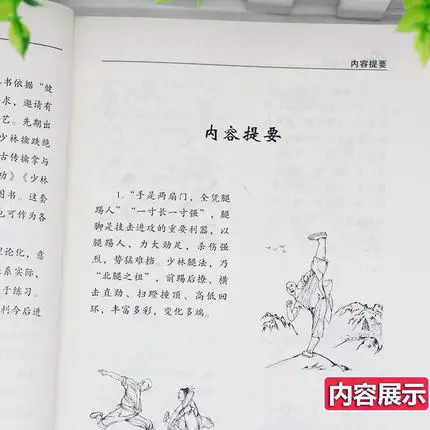 Shaolin Yijin Jing Book + leg skill book ancient secret book Kungfu Wushu Taiji martial arts book Shaolin secret unique skills