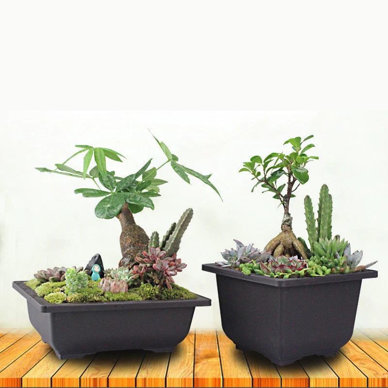 1Set Flower Pot + Tray Balcony Square Flower Bonsai Pot Imitation Purple  Rectangle Bonsai Nursery Planter Plastic