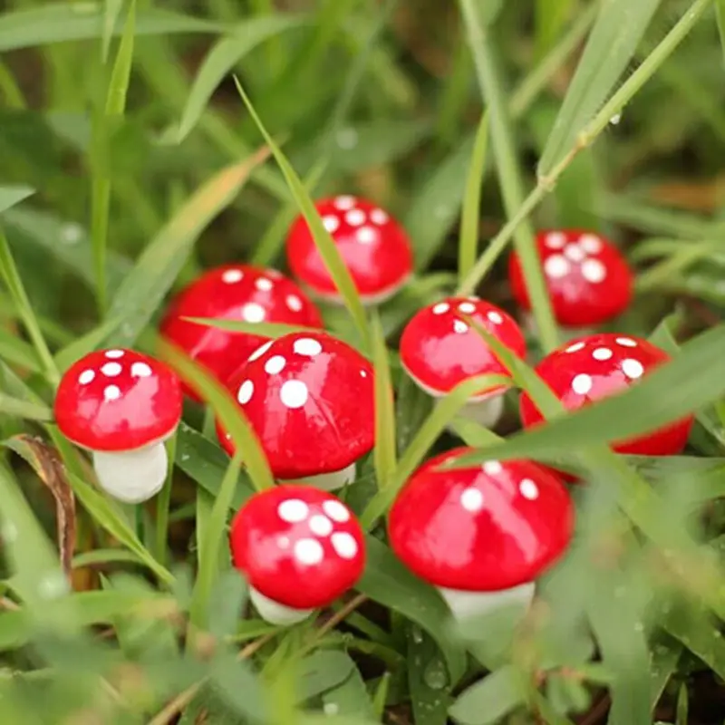 NEW Hot Sale 10Pcs 2cm Artificial Mini Mushroom Miniatures Fairy Garden Moss Terrarium Resin Crafts Decorations Stakes Craft