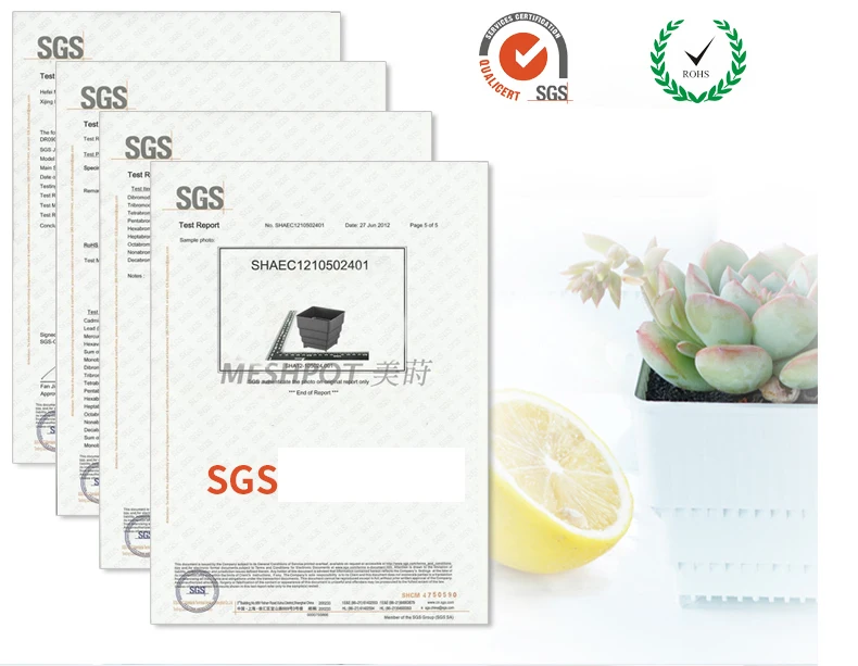Meshpot Kunststoff Sukkulenten Topf High Saist Kaktus Pflanzer Bonsai Garten Lieferant aus gezeichnete Drainage und atmungsaktive Pflanzen Topf – Detail 17