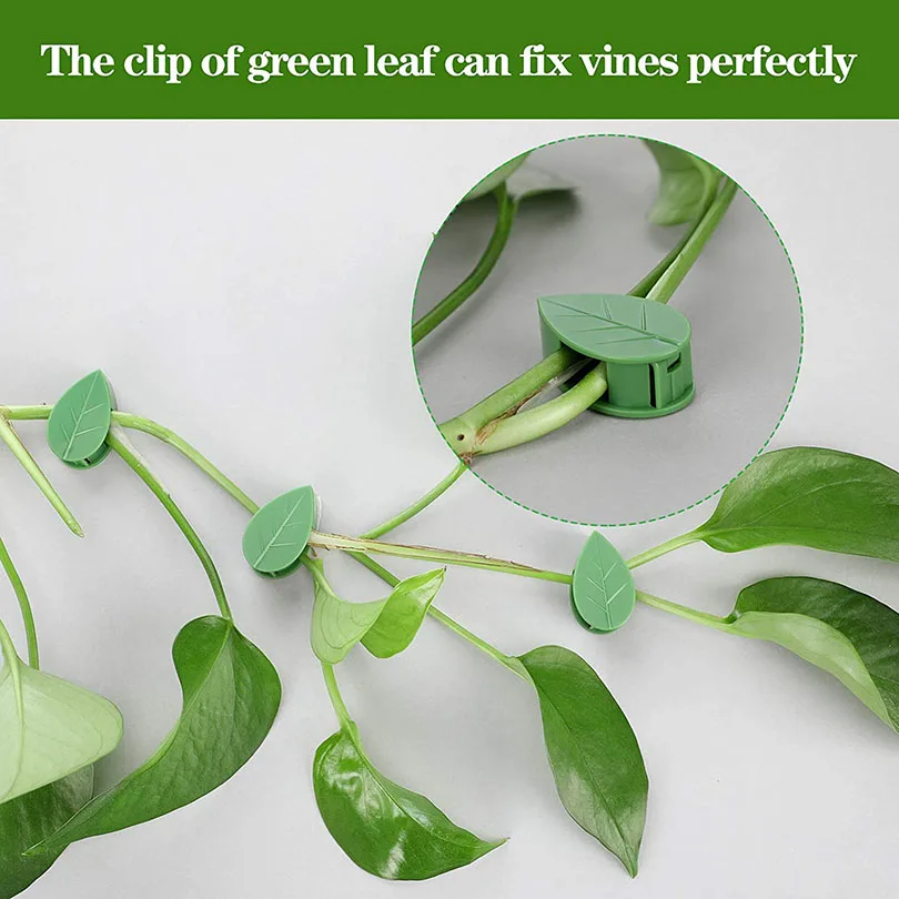 10-100x Invisible Plant Climbing Wall Fixture Clips Acrylic Sticker Self-Adhesive Hook Plant Vine Traction Holder Indoor Outdoor