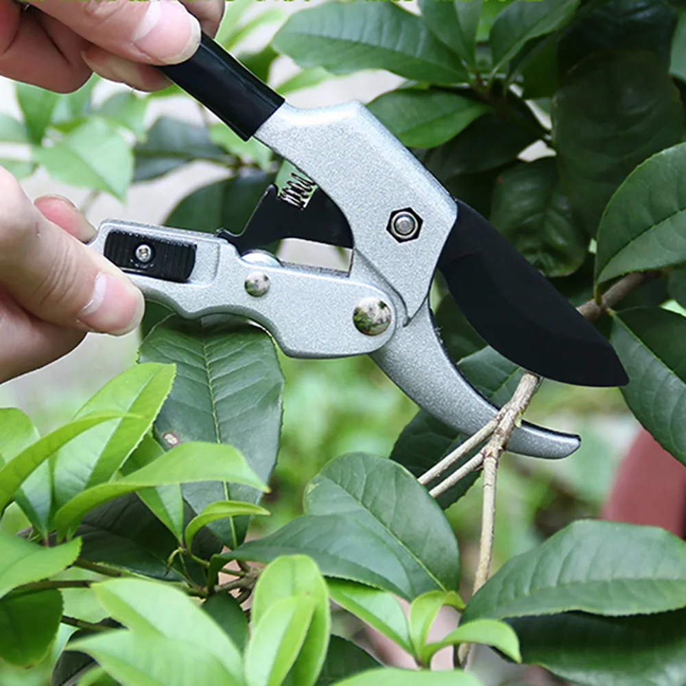 Strumento per innesto cesoie per potatura di alberi da frutto cesoie per Bonsai cesoie da giardino SK5 lama in acciaio ad alto tenore di carbonio design ergonomico impugnatura antiscivolo