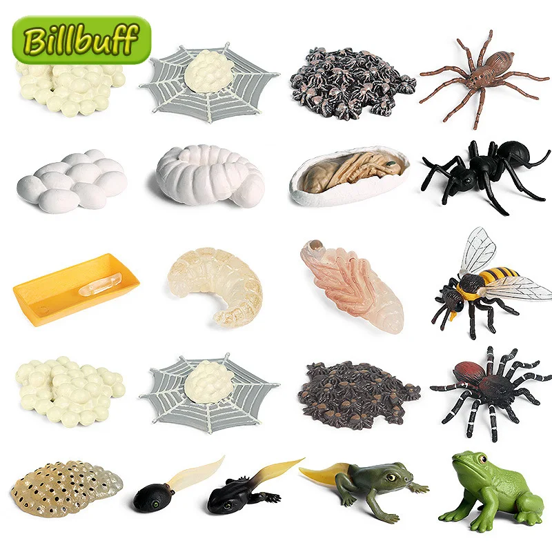 2021 Simulation Insect Animal ABS Figures Evolution Stage Butterfly Bee Frog Turtle Chickens Growth Cycle Toys for Children Gift