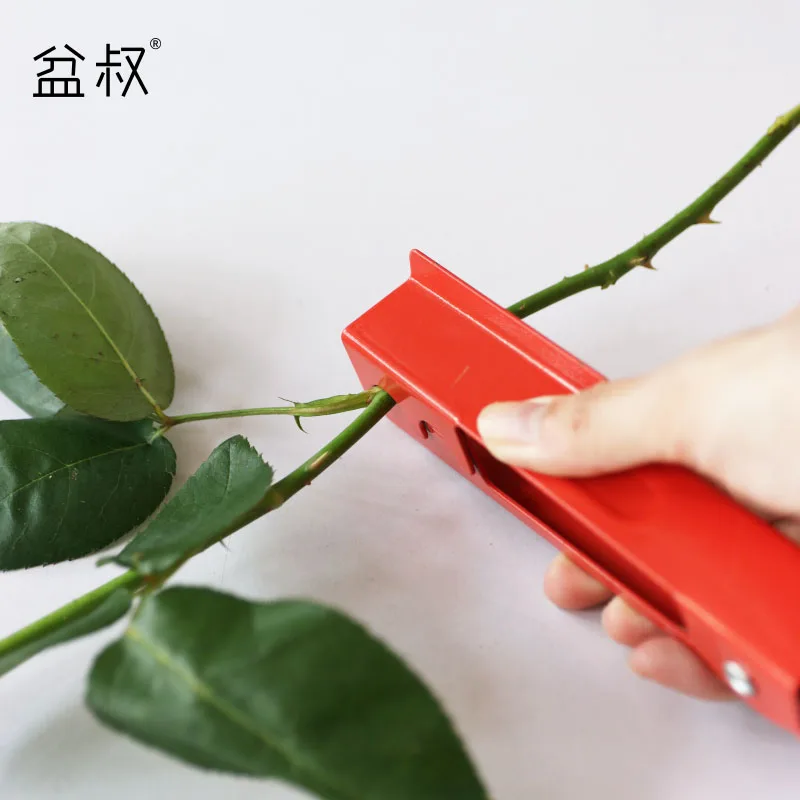 iron Rose pricking forceps garden Florist tools Rose Bouquet thorn removing clip 14.5x2.5cm red color