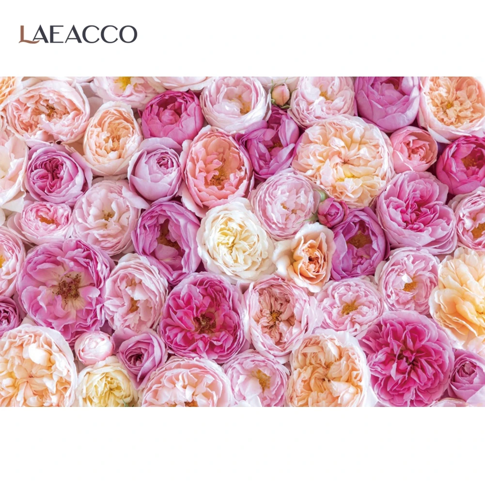 Laeacco-خلفية صور رومانسية لحديثي الولادة ، زهور وردية ، خلفية للتصوير الفوتوغرافي لمرحلة الزفاف ، صورة خلفية لاستوديوهات الصور