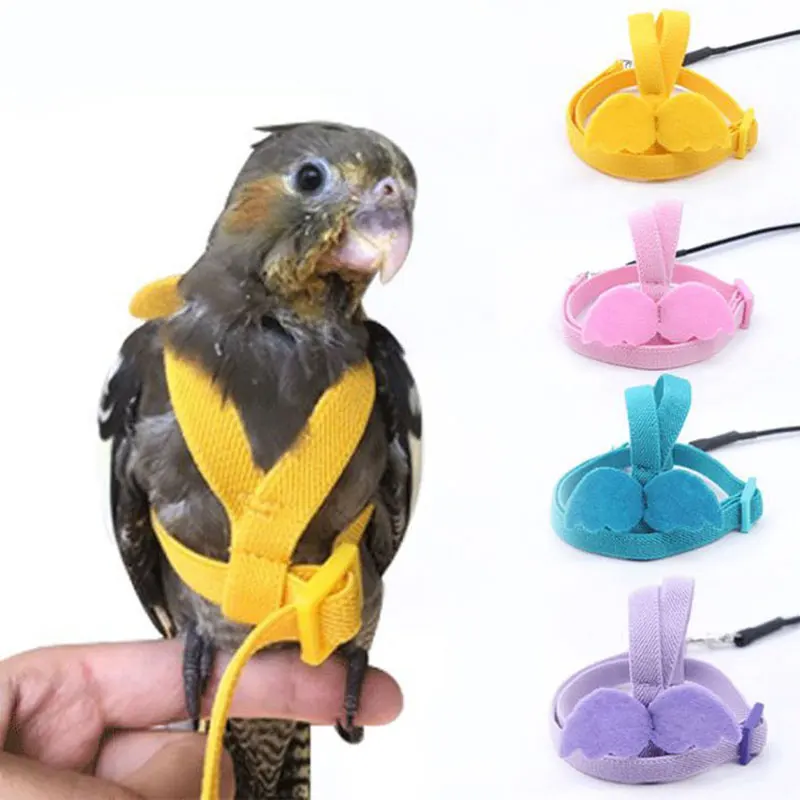 

Elastic Rope Parrot Flying Aids Soft Bird Breathable Products Metal Buckle Pet Interactive Supplies Outdoor Pigeon Accessories