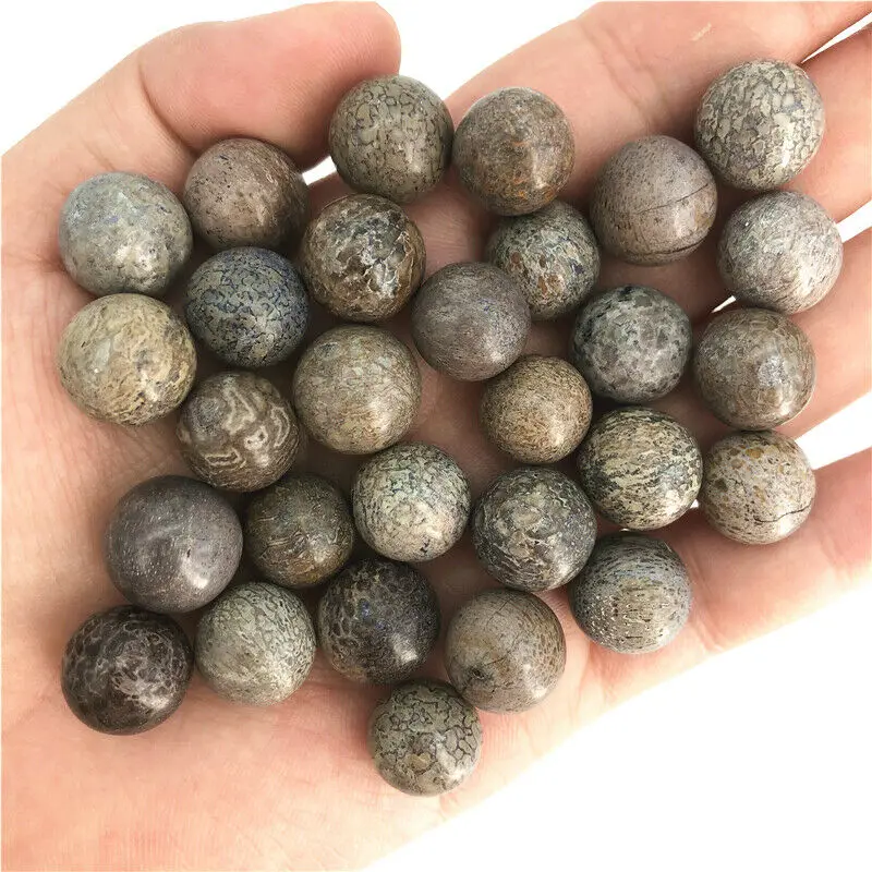 1/2pcs Dinosaur Bone  Ball Natural  Stone Sphere Smooth Polished Healing Natural Quartz Crystals