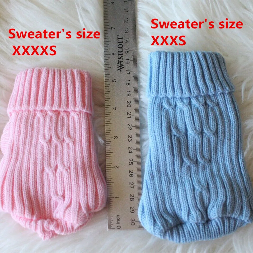 Chiweenie: Le chien mixte Chihuahua-Teckel, joueur et loyal, image size:1066x1066