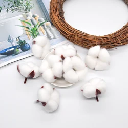 6Pcs artificial kapok head natural dried flower cotton swab wedding room Easter decoration supplies DIY wreath bouquet gift box