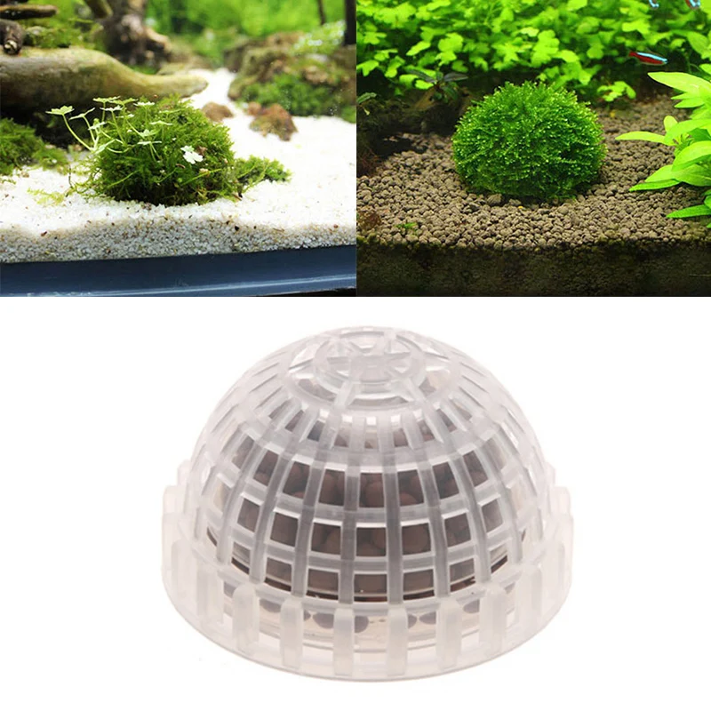 Natural Moss Ball Filter For Aquarium Crystal Red Shrimp House Fish Tank Decor Transparent Landscape Balls Fish Tank Accessories