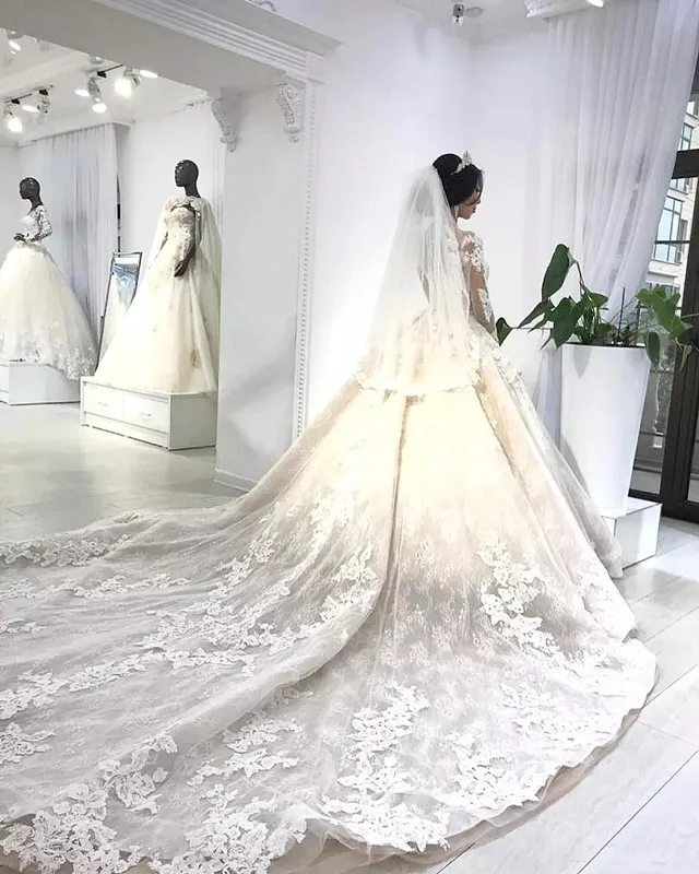 

Gorgeous luxury Wedding Dresses Jewel Neck Lace Appliques Long Train Long Sleeve Country Wedding gown Plus Size Bridal Gown