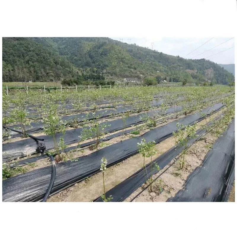 1.5m Width Anti Aging Weed Barrier Grape Land Protection Mat Mulch Cloth Warm Breathable Garden Flowers Potting Plant Cover