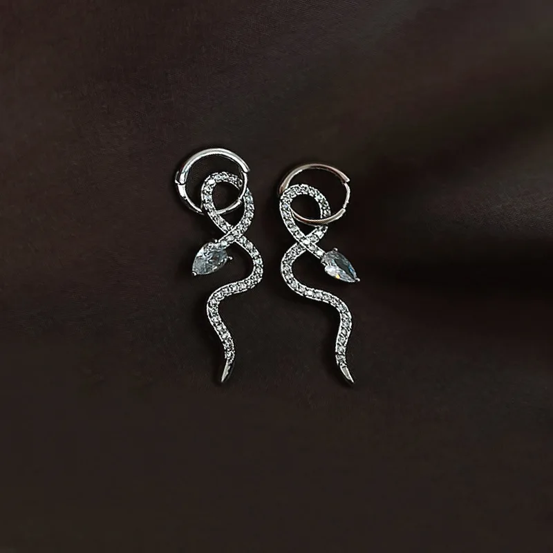 Korean Personality Streamline High-end Sense Of Internet Celebrity Retro Earrings 2021 Trendy Snake Ear Ring Ear Jewelry