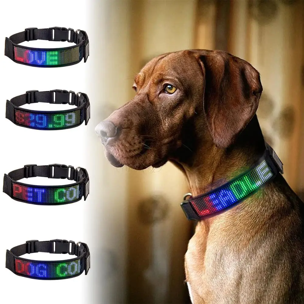 Collar de perro LED brillante, recargable por USB, impermeable, etiqueta de nombre, se ilumina, Collar de nailon, Mensaje de desplazamiento, señal