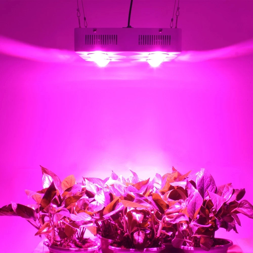 COB LED Grow Light para Estufa Hidropônica Interior, Iluminação de Crescimento de Plantas, Alta Eficiência Luminosa, Espectro Total, 600W, 3500K