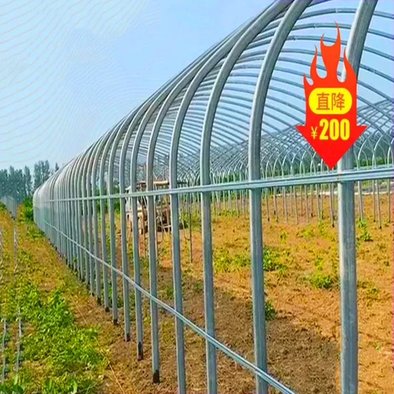 9M*20M Large walk-in plant greenhouse, suitable for growing plants of all sizes