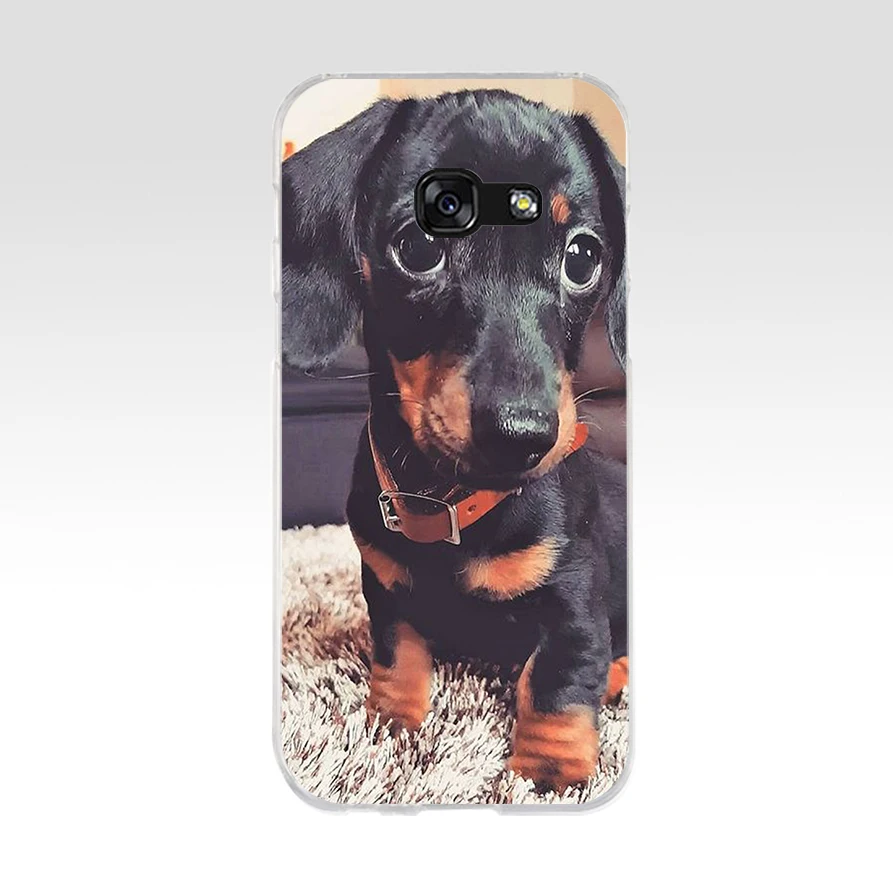 108FG Dachshund Teckel Dackel Dog   Soft Silicone Tpu Cover phone Case for Samsung a3 2016 a5 2017 a6 plus a7 a8 2018 s6 7 8 9