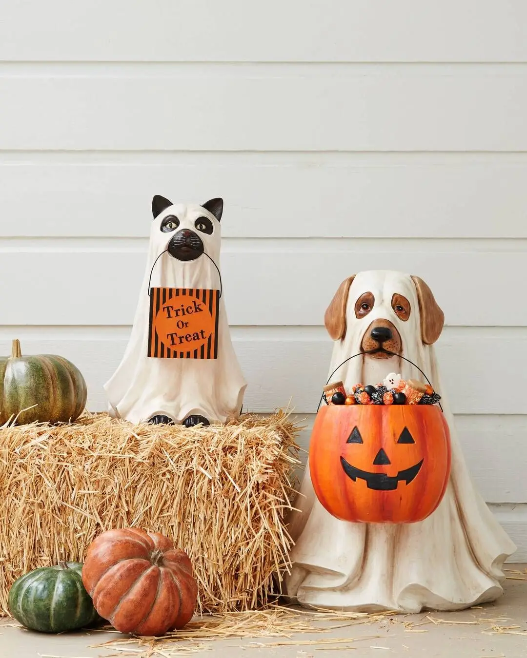 Ghost Dog Candy Bowl Holder Halloween Trick Or Treat Pumpkin Candy Bucket Halloween Pumpkin Bowl Holder Halloween Decorations