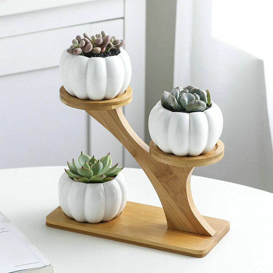 

Pumpkin Shape Ceramic Succulent Plant Flower Pot Holder Bamboo Shelf Home Decor