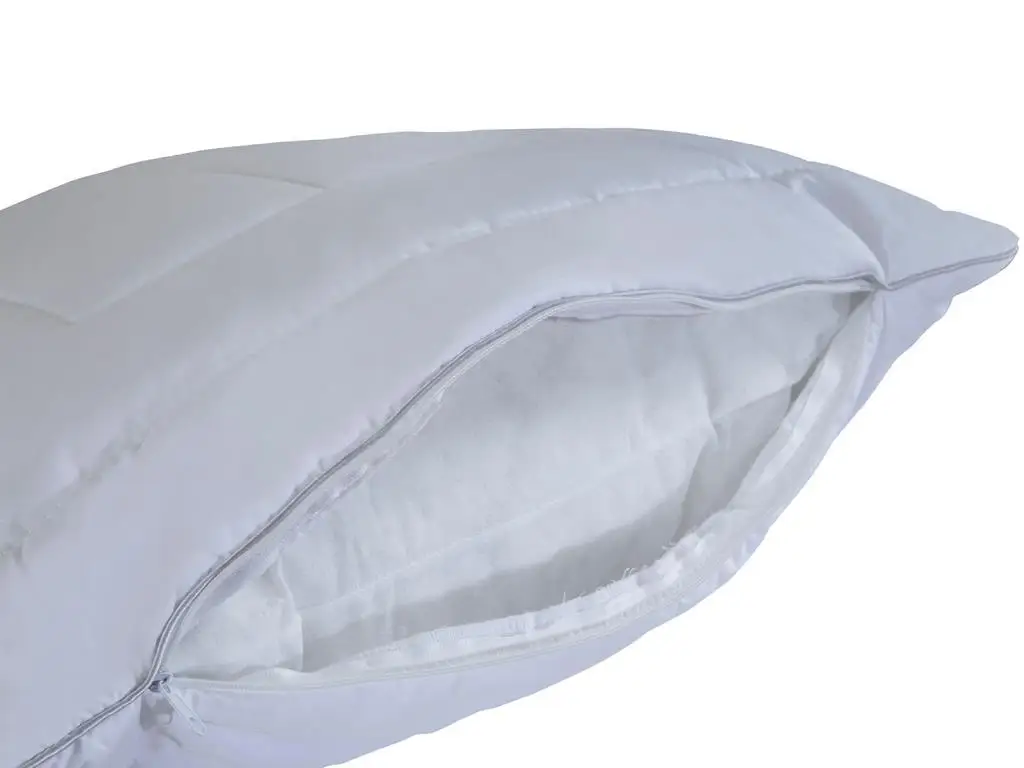 Naturismo Forte Pillow