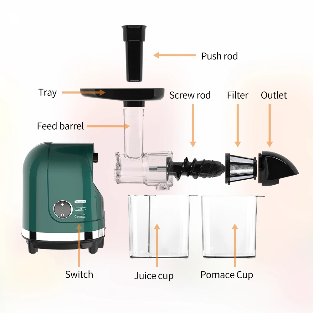 Health Fruit and Vegetables Electric Juice Extractor Citrus Squeezer Fresh Juice Easy Clean 50 RPM Screw Cold Press Slow Juicer