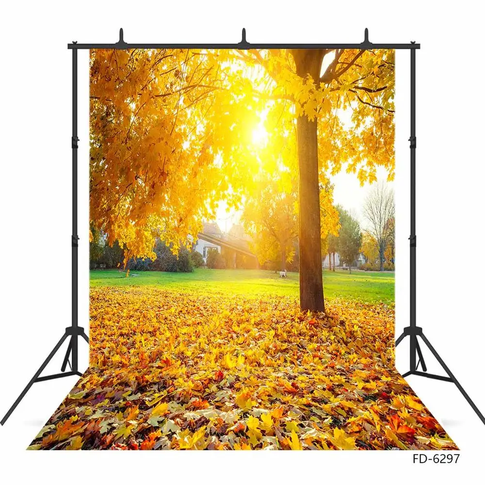 Yellow Fallen Leaves Courtyard Sunny Photography Backdrop Custom Background for Baby Children Portrait Photoshoot Fond Photo