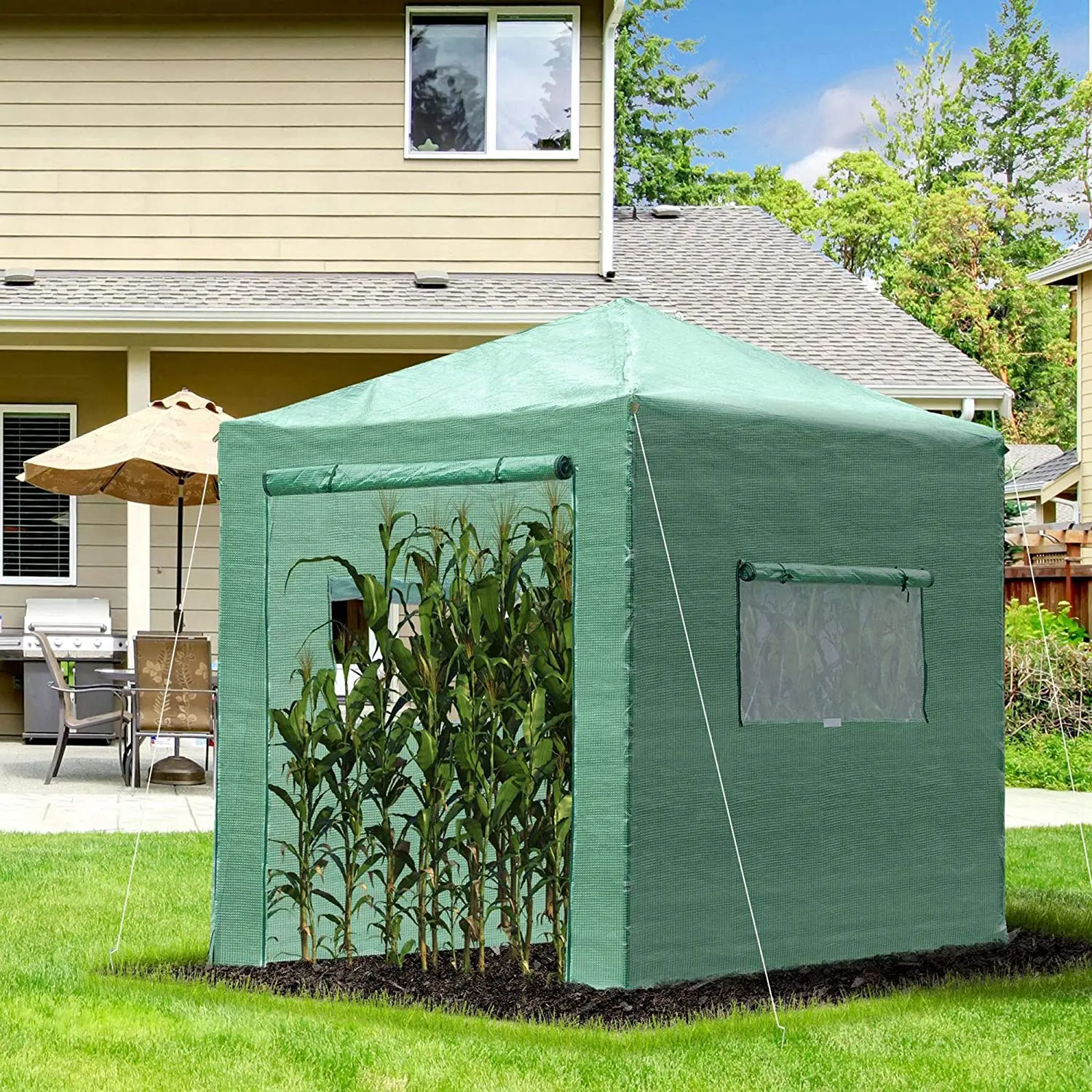 Foldable Greenhouse Shed 8x8/8x6Ft Plastic Sprayed Iron Pipe PE Mesh Green Fine Workmanship Stylish In Look[US-Depot]