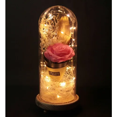 Gift Idea Big size Pink Rose Design Luminous Glass Bell Jar