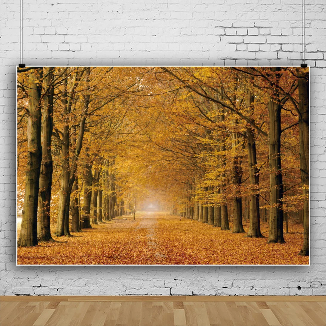 Yeele 가을 숲 낙엽 Photocall 자연 경관 사진 배경 사진 스튜디오 사진 배경