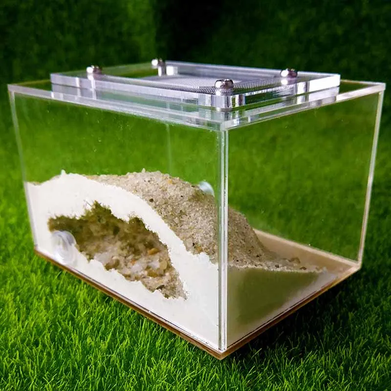 Mini Imitation Ecological Plaster Ant Nest Pet Ant Castle Workshop Home Reptile Terrarium