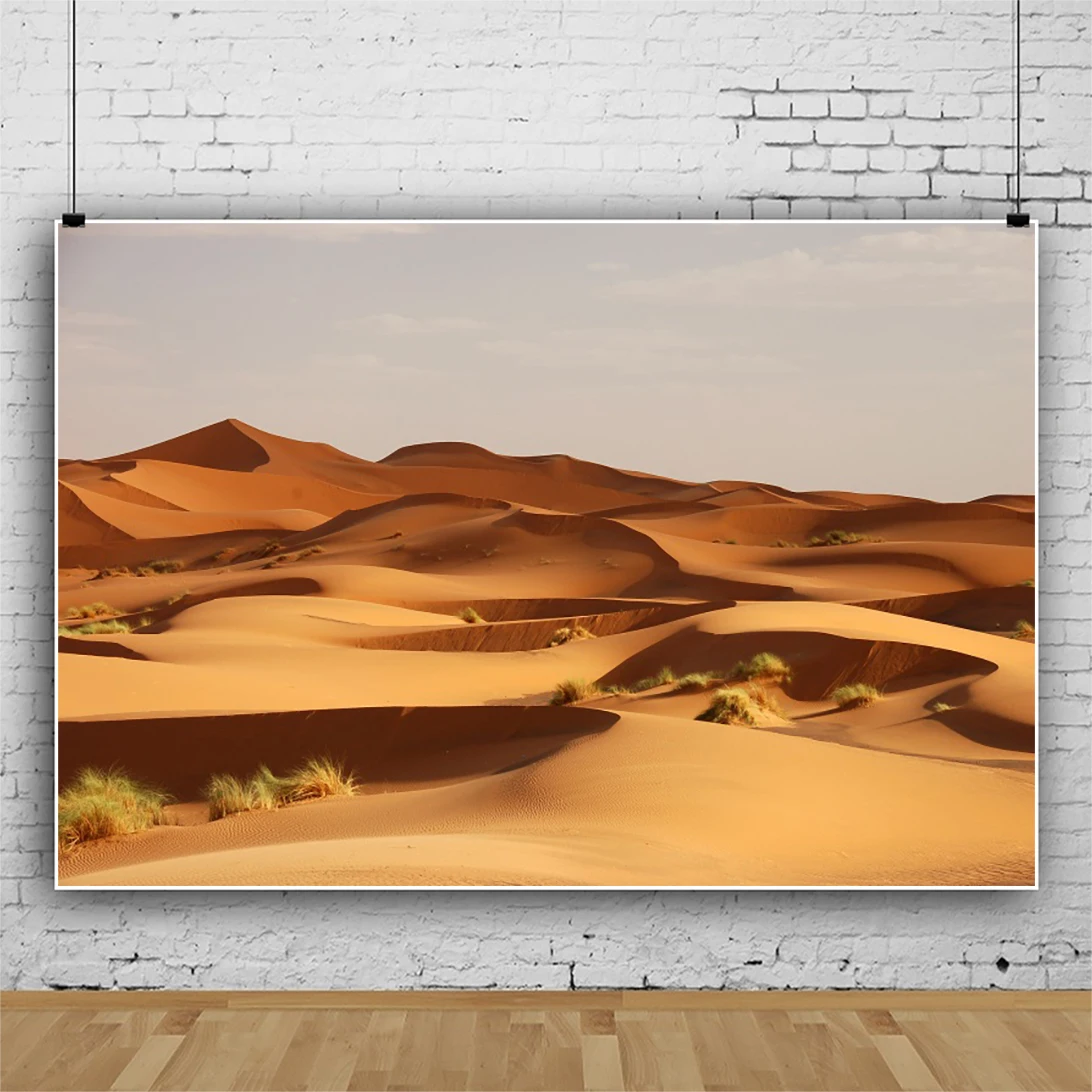 Laeacco bellissimo deserto vista naturale sfondo fotografico duna di sabbia gialla escursione di un giorno di sole fondali per feste famiglia Photocall