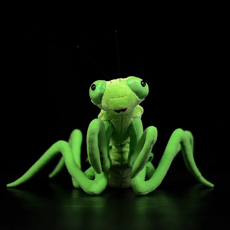 Lifelike chinês Louva-a-deus brinquedos de pelúcia para crianças, vida real, inseto Mantis, bichos de pelúcia, brinquedos educativos macios