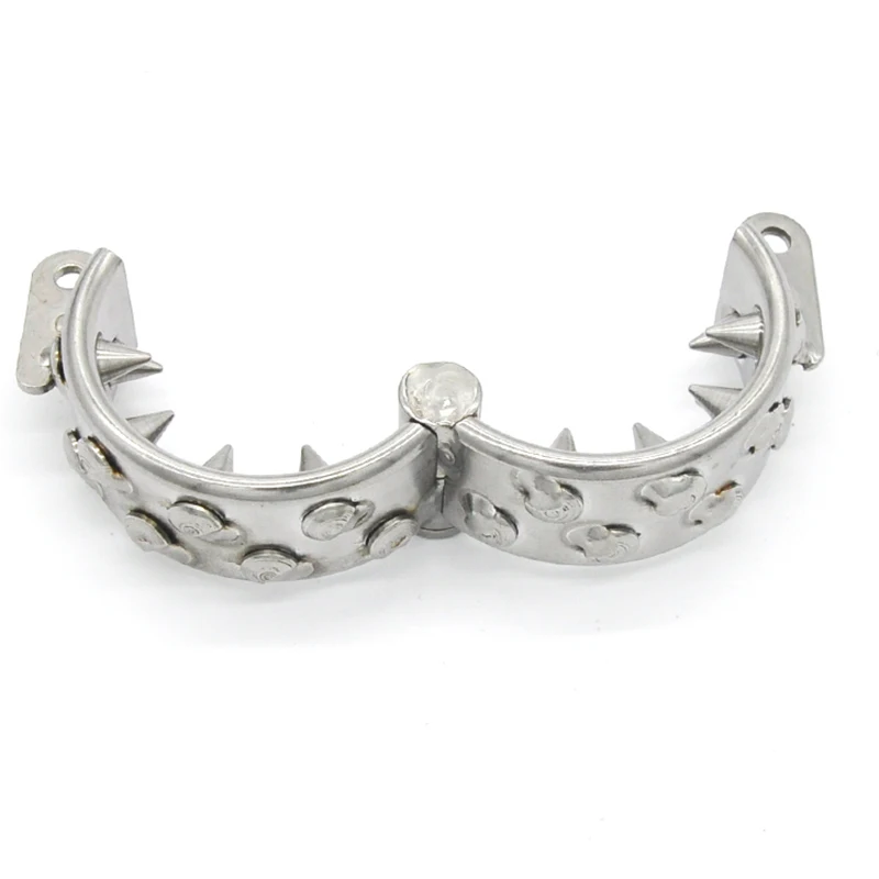 Casto BIRD-anillo de acero inoxidable para pene, pendiente escroto, juguete sexual de castidad, 2 filas, BDSM A091