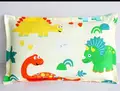 1 pc pillowcase B