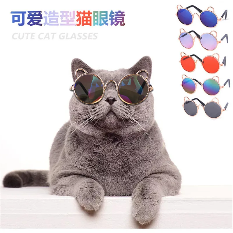 

Lovely modelling sunglasses, dog teddy sunglasses, unique image, pet accessories, MaoYanJing