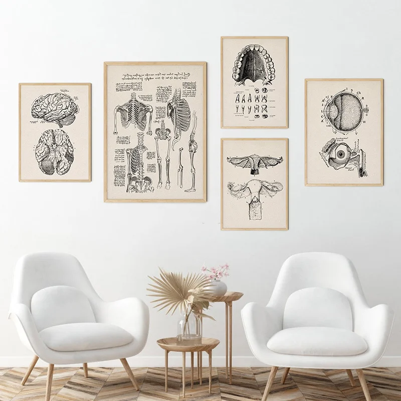 Vintage Human Anatomy Artwork Medical Wall Picture Muscle Skeleton Poster Canvas Art Print Education Hospital Pharmacy Paintings