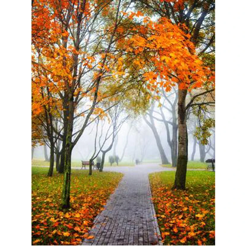 

Diamond Painting 5D DIY Square/Round Diamond Landscape Painting Autumn Park View Picture Cross Stitch Embroidery Artwork WG3294