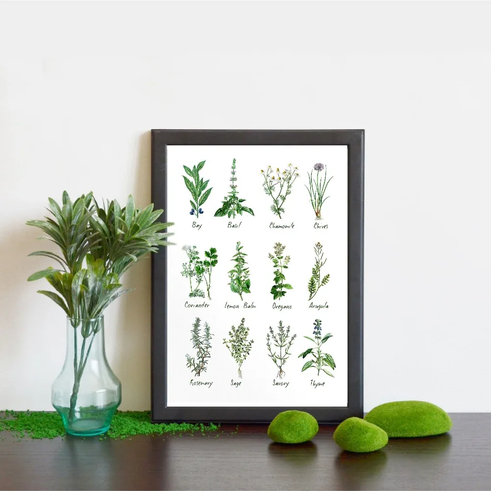 

Kitchen Art Decoration Botanical Chart Wall Art Canvas Poster Prints Herbs and Spices Painting Picture Herbarium Home Wall Decor