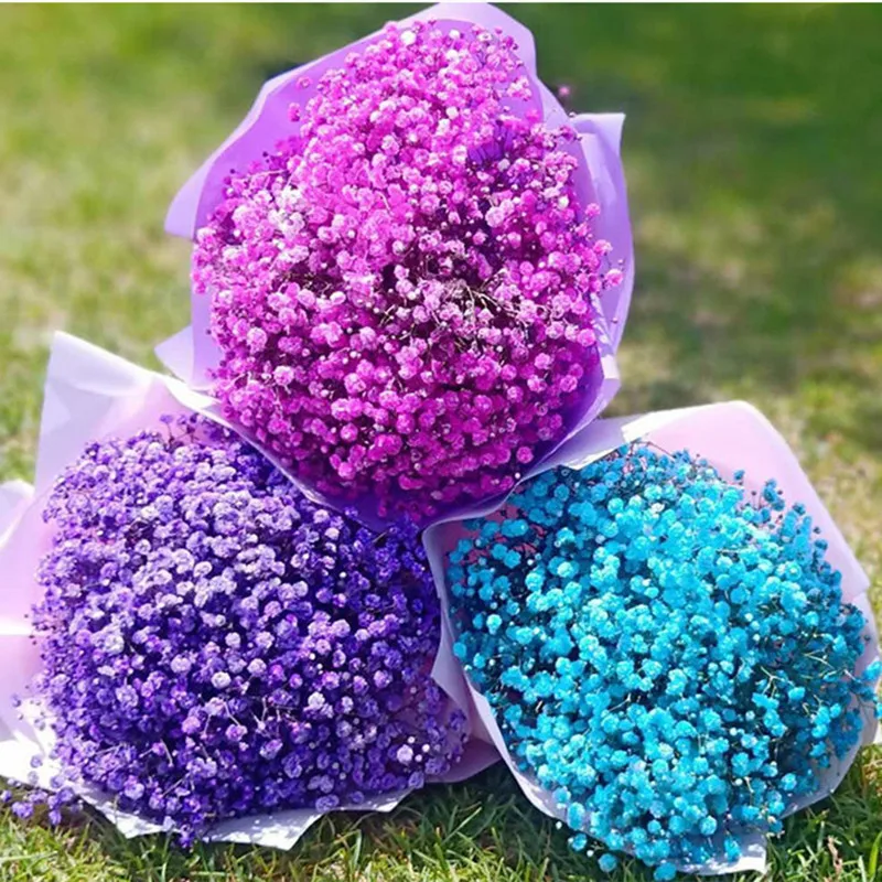 

Best Natural Gypsophila Baby Breath Million Stars Dried Flowers For centre de table mariage Home party Decoration Customized