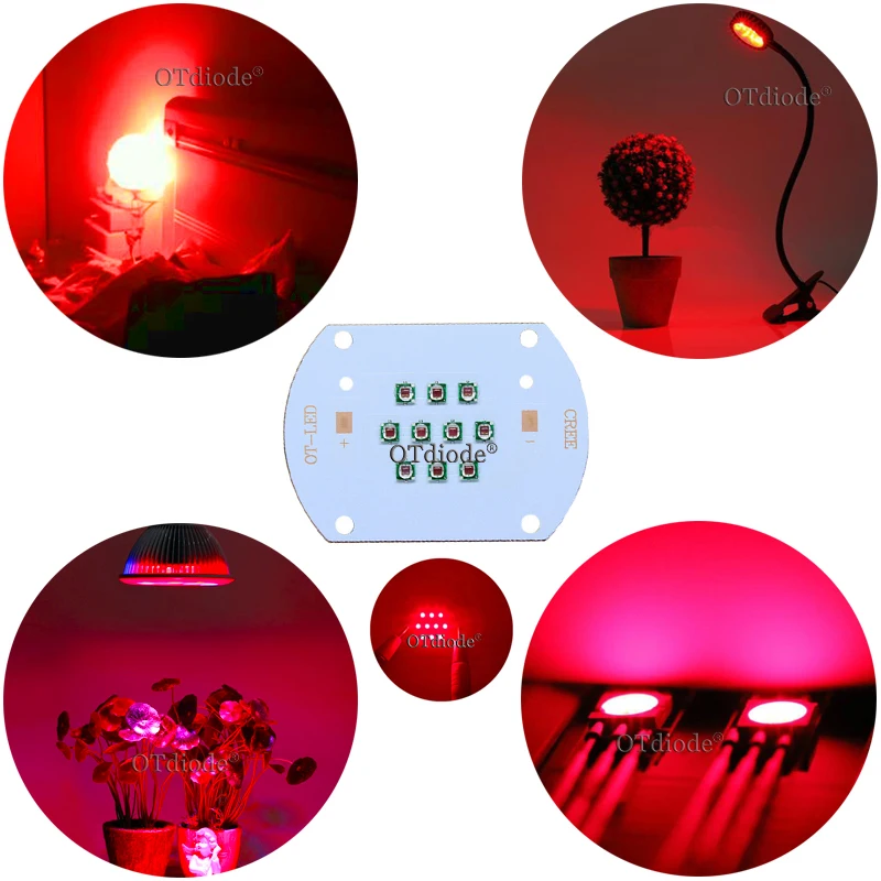 Hydroponice  30W COB led grow light chip XPE Royal Blue 450nm Deep Red 660nm for Indoor Plant Seedling Grow and Flower