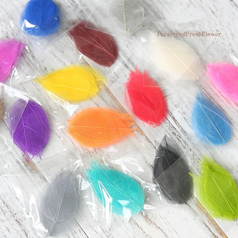 

100pcs Dried Natural Preserved Fresh Vein Leaf For Nail Art Jewelry Bookmark Phone Case Invitation Makup Card DIY
