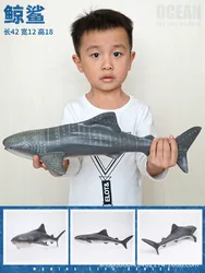 Large size Sea Life Animal shark beluga ocean turtle dolphin Model Soft glue Action Figures Kids Educational toys Gift For Kids