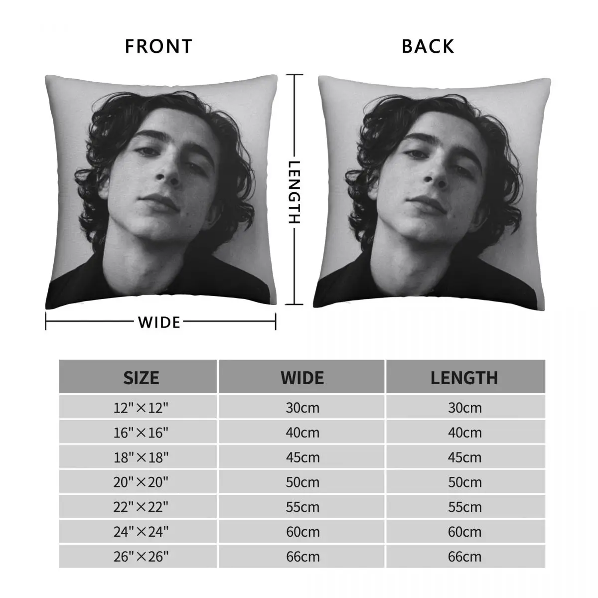 Chalamet Pillowcase Polyester Linen Velvet Pattern Zip Decor Pillow Case Car Cushion Cover 45x45