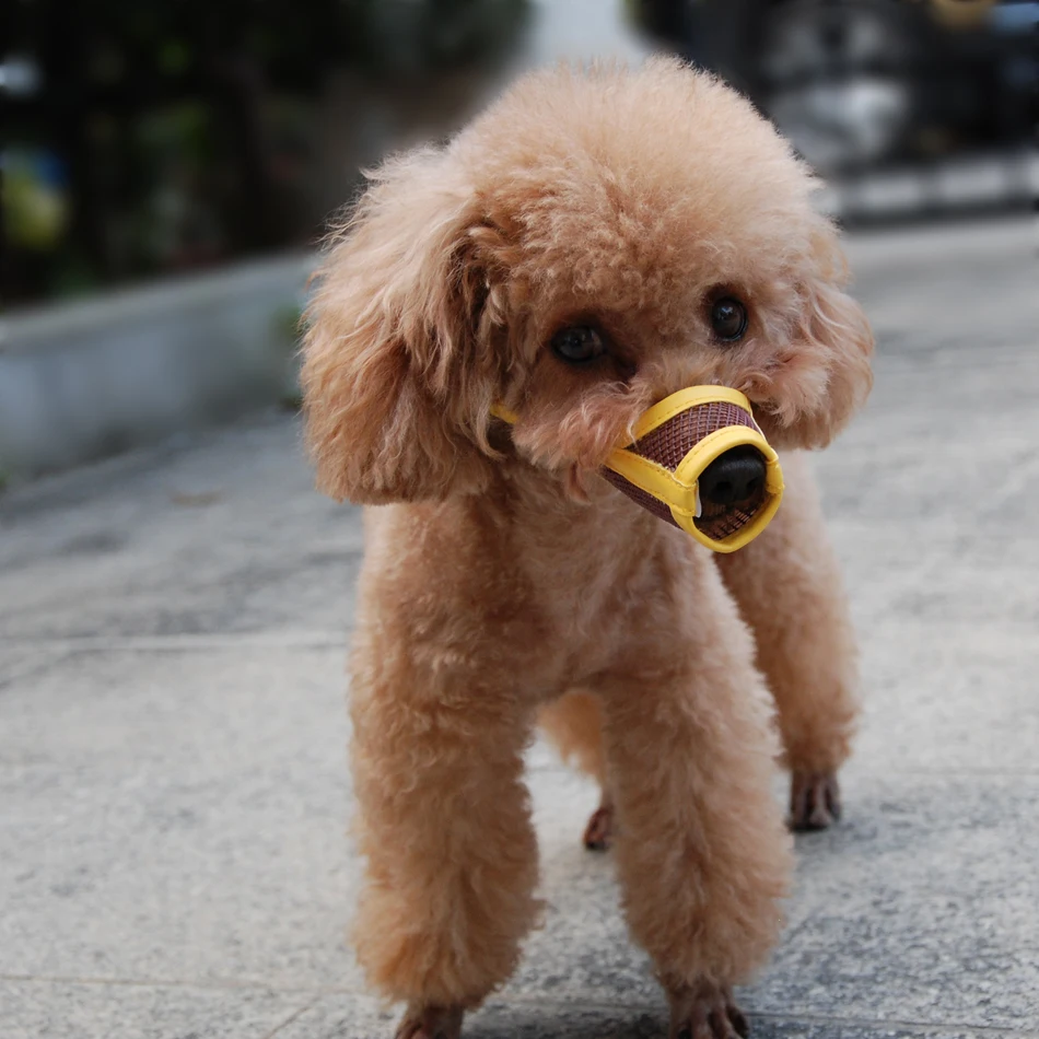 Bozal de perro cachorro pequeño mediano grande perro de cuero sintético de Nylon malla hocico de mascota bozal