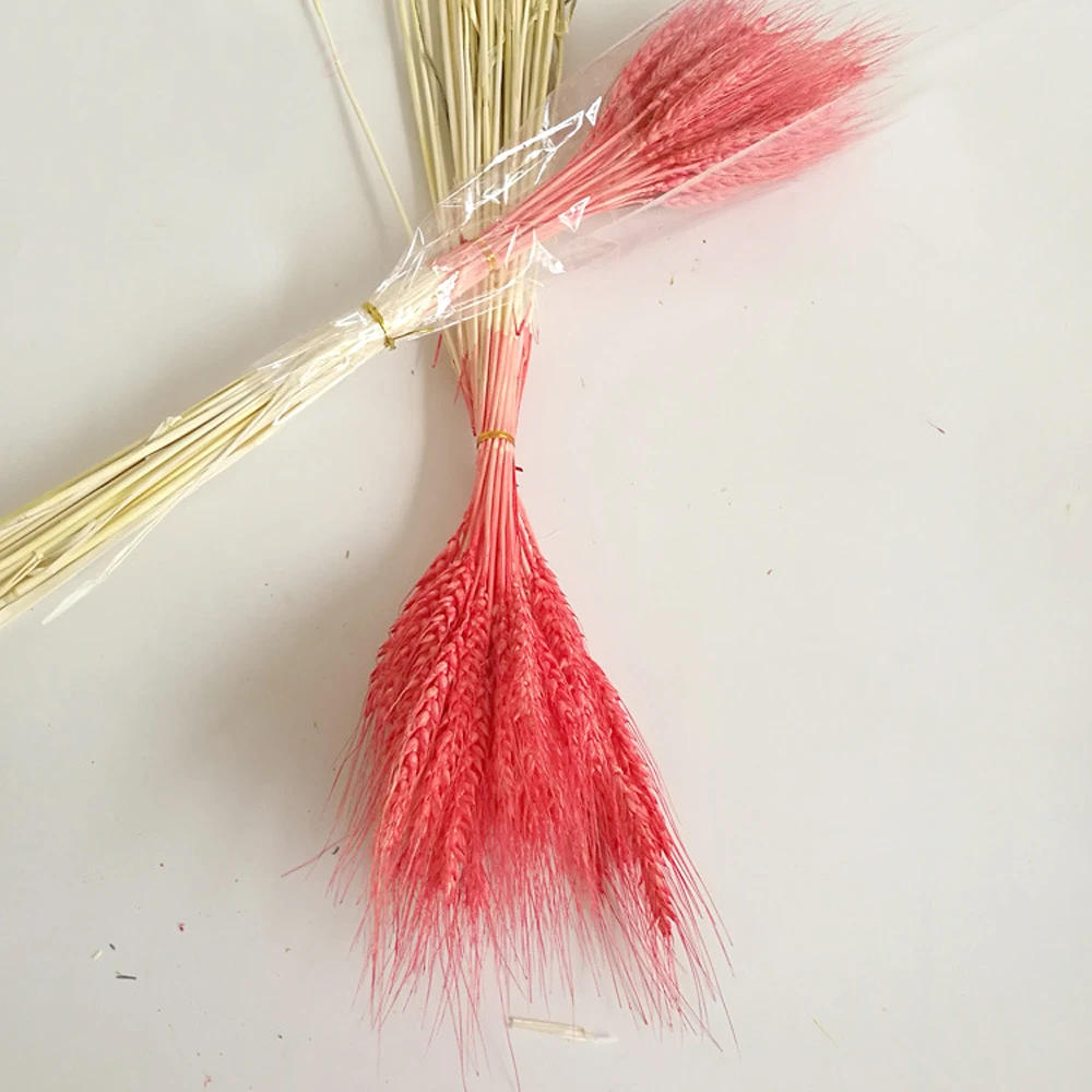 100pc natural dried flower bouquets natural red color dried ear of wheat bouquets&wheat ear Bunches