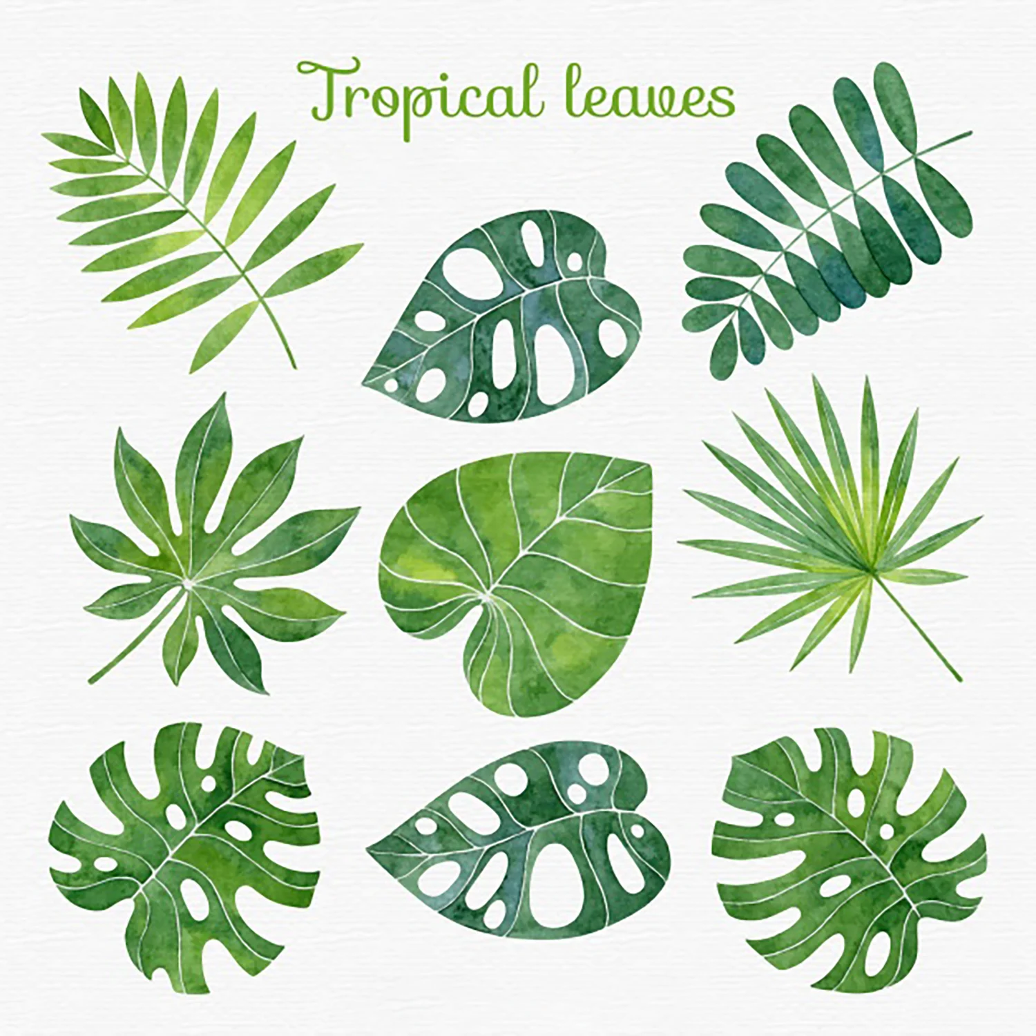 9 Pcs Tropical Leaves Cutting Dies Lovely Good Size Plant Metal Stencil For DIY Scrapbook Gift Card Craft Decorative