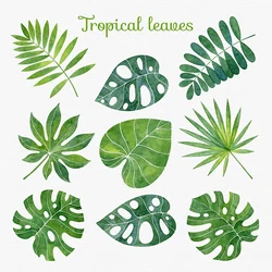 9 Pcs Tropical Leaves Cutting Dies Lovely Good Size Plant Metal Stencil For DIY Scrapbook Gift Card Craft Decorative