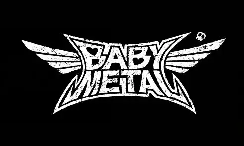 custom gift 3x5ft polyester flag with babymetal flag  Banner 3ftx5ft