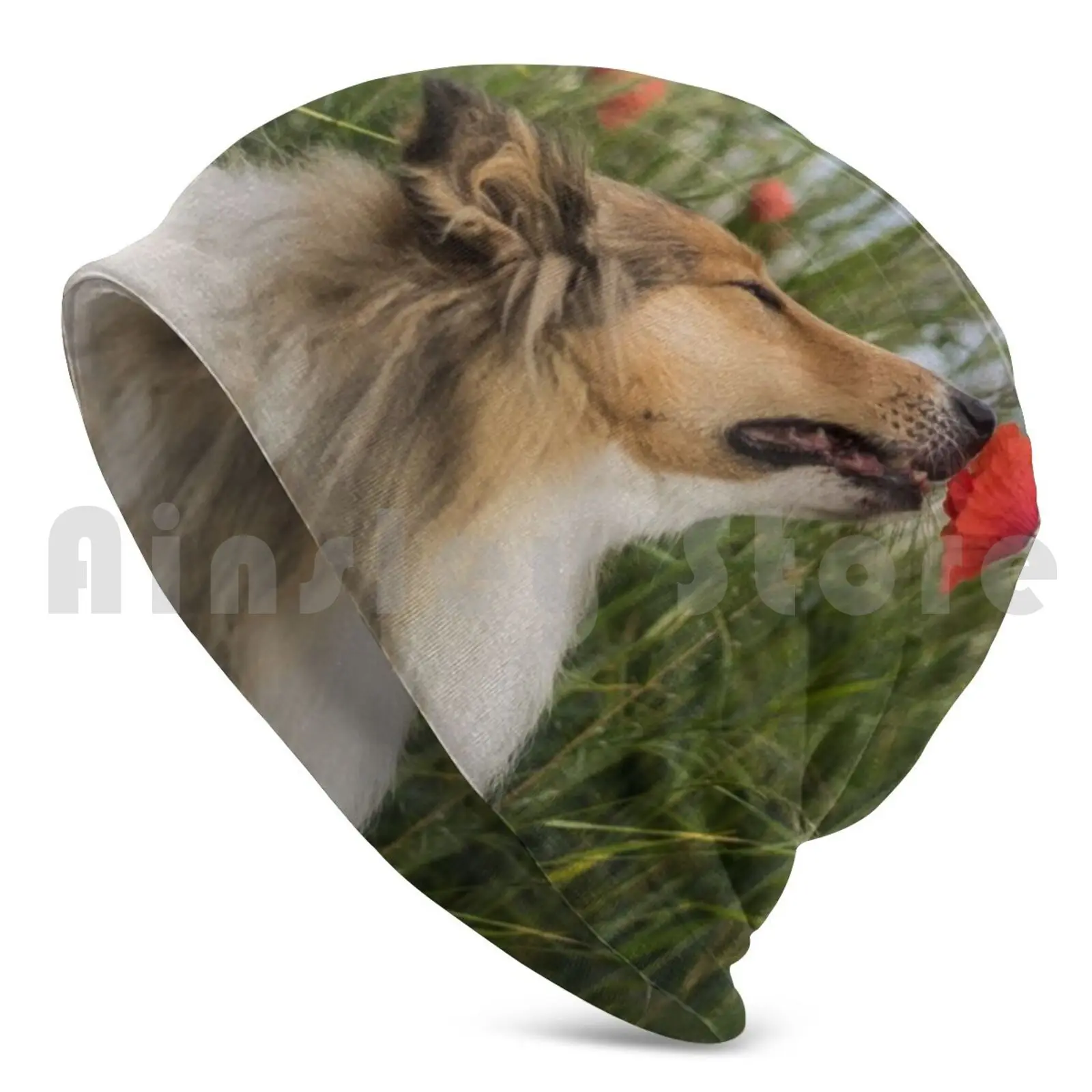 Cute Rough Collie Sniffing To A Poppy Beanies Pullover Cap Comfortable Collie Dog Rough Collie Poppy Cute Adorable