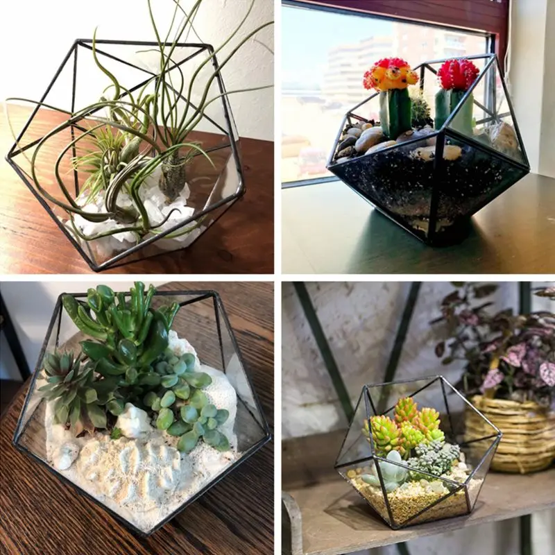 New Glass Terrarium Storage Box Jewelry Holder,Glass Geometric Terrarium Tabletop Succulent Plant Box Planter Holder